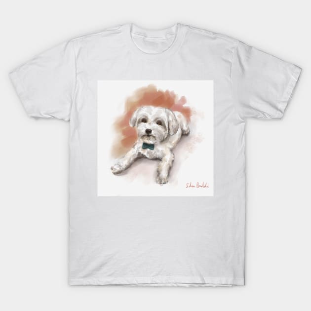 Cute Watercolor Drawing of Maltese, Orange Background T-Shirt by ibadishi